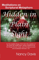 Hidden in Plain Sight 0984710078 Book Cover