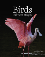 Birds: Intimate Images 1949248135 Book Cover