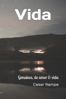 Vida: (Spa & Cat Edition) B084DGDT55 Book Cover