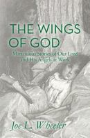 The Wings of God: Miraculous Stories of Our Lord and His Angels at Work 1578563208 Book Cover