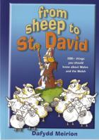 From Sheep to St David: 200+ Things You Should Know About Wales and the Welsh 0954958152 Book Cover