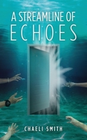 A Streamline of Echoes B0DSLWHMNP Book Cover