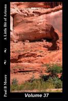 A Little Bit of Arizona: Volume 37 1726660702 Book Cover