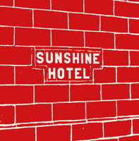 Mitch Epstein: Sunshine Hotel 3958296092 Book Cover