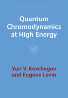 Quantum Chromodynamics at High Energy 1009291424 Book Cover