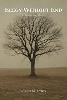 Elegy Without End: A Collection of Poetry B0FVW5RYWS Book Cover