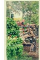 Living Through The Aftermath 0615985696 Book Cover