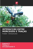 Interacção Entre Morcegos E Traças 6205608022 Book Cover