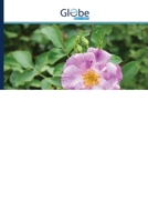 Effect van GABA en Spermine Foliar Spray op Rosa Damascena Mill.: Een nieuwe methode om de reproductieve kwaliteit en kwantiteit van de bloemen te verbeteren 6139421039 Book Cover