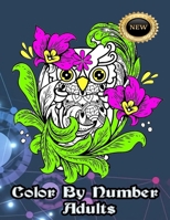 Adult Color By Number NEW B0C2SG674K Book Cover