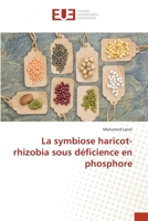 La symbiose haricot-rhizobia sous déficience en phosphore 3841679234 Book Cover