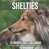 Shelties 16 Month 2021 Calendar September 2020-December 2021: Shetland Sheepdog Square Photo Book Monthly Pages 8.5 x 8.5 Inch B08MHKVKTG Book Cover