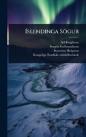 Ã slendÃ-nga Sögur (Icelandic Edition) 1024894649 Book Cover