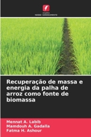 Recuperação de massa e energia da palha de arroz como fonte de biomassa 6206111245 Book Cover