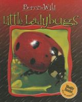 Little Ladybugs (Born to Be Wild) 083686168X Book Cover