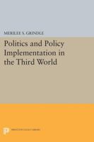 Politics and Policy Implementation in the Third World 0691021953 Book Cover