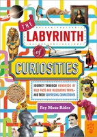 The Labyrinth of Curiosities: Journey Through Hundreds of Fantastic Facts and Trivia . . . and Discover Their Surprising Connections! 1250254973 Book Cover