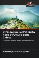 Un'indagine sull'etnicità nelle strutture della Chiesa (Italian Edition) 6207740394 Book Cover