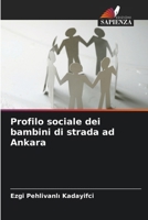 Profilo sociale dei bambini di strada ad Ankara 6209690408 Book Cover