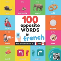 100 opposite words in french: Bilingual picture book for kids: english / french with pronunciations 2384120875 Book Cover