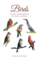 Birds: Our Fine Feathered Friends: Seen by Sue and Drew 1638852243 Book Cover