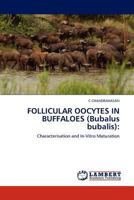 FOLLICULAR OOCYTES IN BUFFALOES (Bubalus bubalis) 3845409622 Book Cover