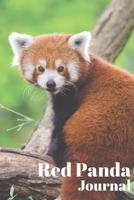 Red Panda Journal: Red panda gifts for women and men Lined notebook/journal/logbook 1708216766 Book Cover