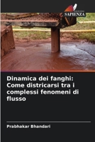 Dinamica dei fanghi: Come districarsi tra i complessi fenomeni di flusso 6207340132 Book Cover