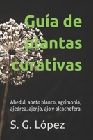 Guía de Plantas Curativas: abedul, abeto blanco, agrimonia, ajedrea, ajenjo, ajo y alcachofera 1693764660 Book Cover