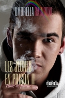 LES JEUNES EN PRISON II (French Edition) B0CQHTX1R7 Book Cover