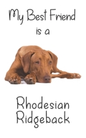My best Friend is a Rhodesian Ridgeback: 8” x 5” Blank lined Journal Notebook 120 College Ruled Pages (Best Friends) 1711662437 Book Cover
