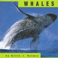 Whales (Animals) 1560656018 Book Cover