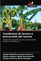 Condizioni di lavoro e precarietà del lavoro: Impatto delle condizioni di lavoro sulla precarietà del lavoro, sito El Recreo 6203685119 Book Cover