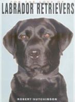 For the Love of Labrador Retrievers (For the Love of) 1563139049 Book Cover
