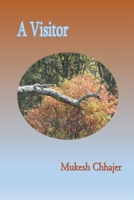 A Visitor B0C9S3G5MQ Book Cover