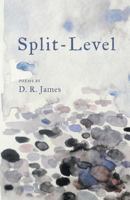 Split-Level 1635341167 Book Cover