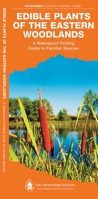 Edible Plants of the Eastern Woodlands: A Folding Pocket Guide to Familiar Species 1583557075 Book Cover