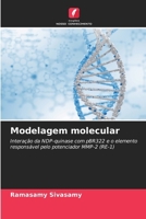 Modelagem molecular (Portuguese Edition) 6209596592 Book Cover