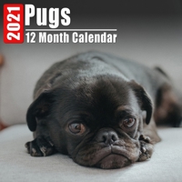 Calendar 2021 Pugs: Cute Pug Photos Monthly Mini Calendar With Inspirational Quotes each Month B08DC84MVJ Book Cover