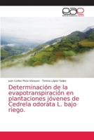 Determinación de la evapotranspiración en plantaciones jóvenes de Cedrela odorata L. bajo riego. 6203872334 Book Cover