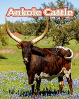 Ankole Cattle: Facts Book B0C1DN8XK2 Book Cover