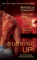 Burning Up 0425235955 Book Cover