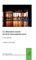 La Dimension Sociale Du Droit International Prive 9004209174 Book Cover