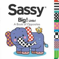 Big! Little!: A Book of Opposites 044848014X Book Cover