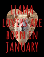 Llama Lovers are Born In January: Llama Notebook Journal - Blank Llama notebook - Funny Llama January Birthday Gifts for Animal Lovers - Llama Gifts for Women, Girls and Kids 167982693X Book Cover