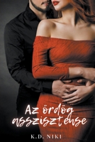 Az ördög asszisztense B0CCXGW6BZ Book Cover