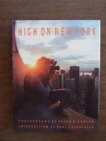 High on New York 0810910950 Book Cover