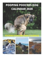 Pooping Pooches Dog Calendar 2020 - Pooping Pooches Mini Calendar: Pooping Pooches 2020 Calendar, Pooping Pooches Calendar, Pooping Pooches Planner, Pooping Pooches Mini Calendar, Pooping Pooches Dog  1677189029 Book Cover