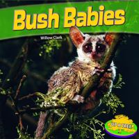 Bush Babies 1448861888 Book Cover