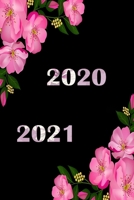 2020 / 2021: Tagesplaner f�r das Jahr 2020 und 2021 / Plane und Organisiere f�r zwei Jahre 1708564977 Book Cover
